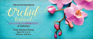 Fairchild Gardens Orchid Show